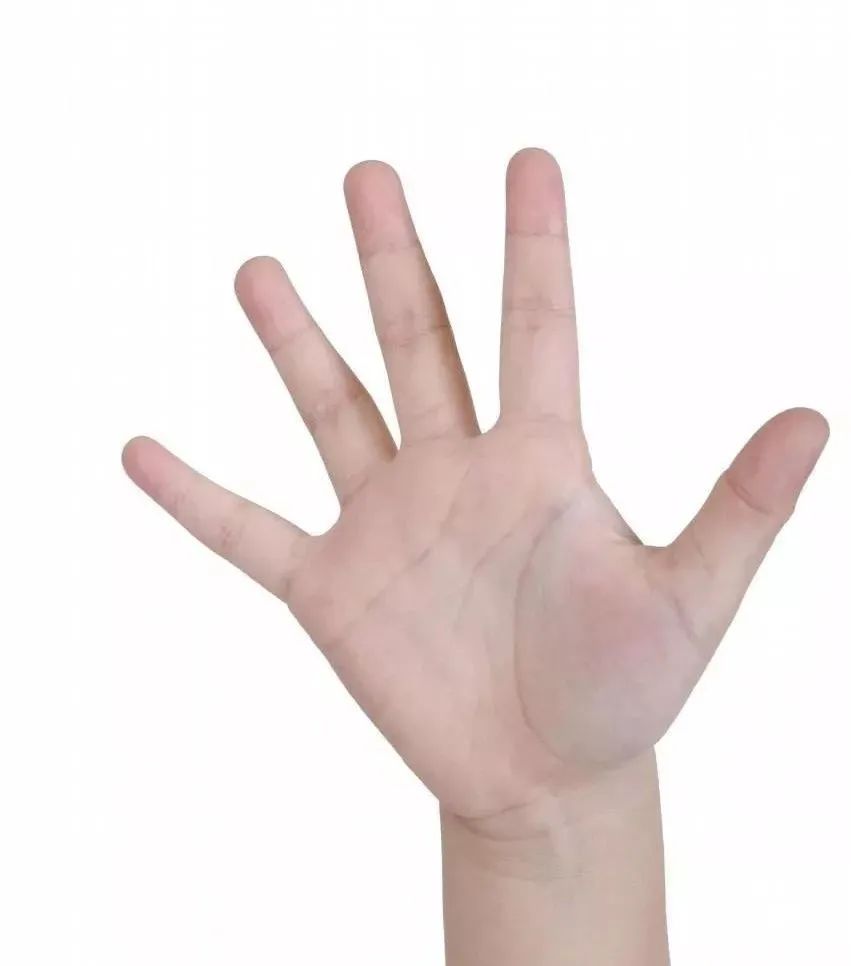 https://ddmy.wxlxjy.com/contents/sitefiles2051/10256735/images/30674092.jpeg