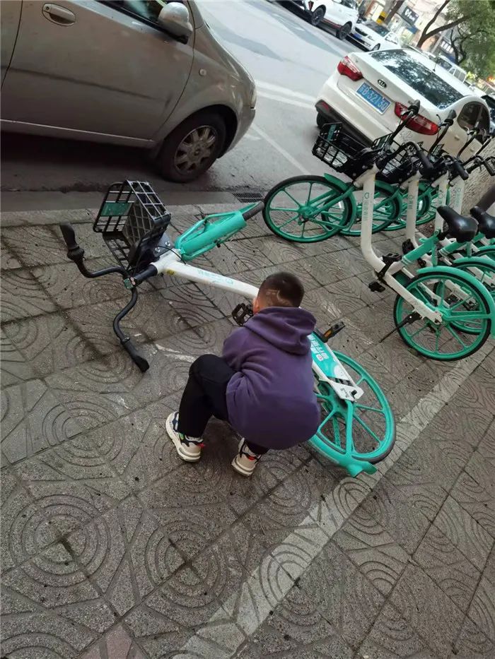 https://ddmy.wxlxjy.com/contents/sitefiles2051/10256735/images/30674523.jpeg