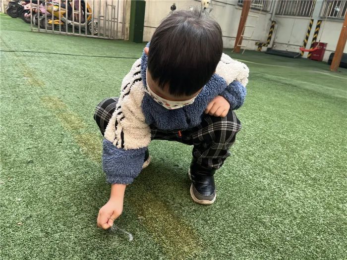 https://ddmy.wxlxjy.com/contents/sitefiles2051/10256735/images/30674530.jpeg