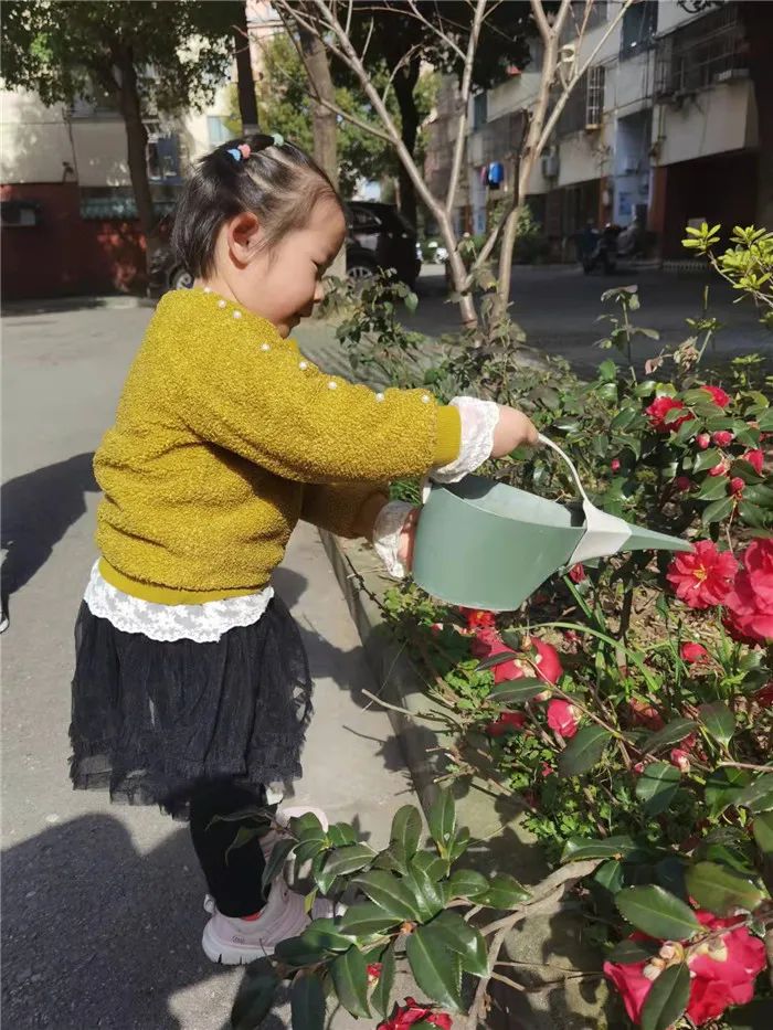https://ddmy.wxlxjy.com/contents/sitefiles2051/10256735/images/30674931.jpeg