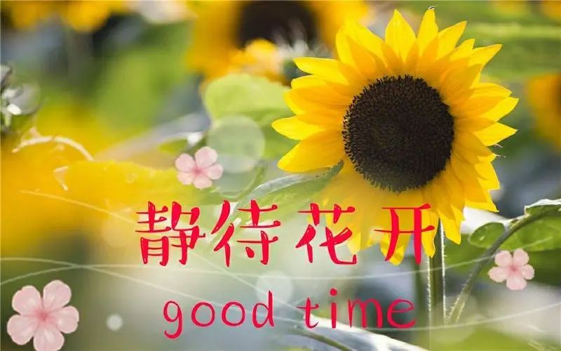 https://ddmy.wxlxjy.com/contents/sitefiles2051/10256735/images/30685576.jpeg