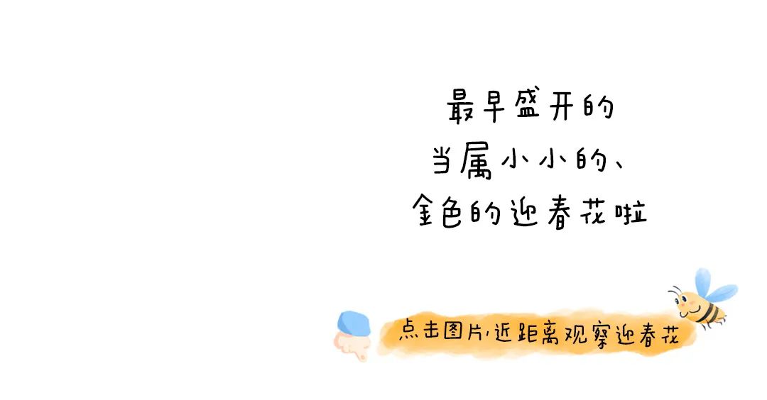 https://ddmy.wxlxjy.com/contents/sitefiles2051/10256735/images/30685682.jpeg