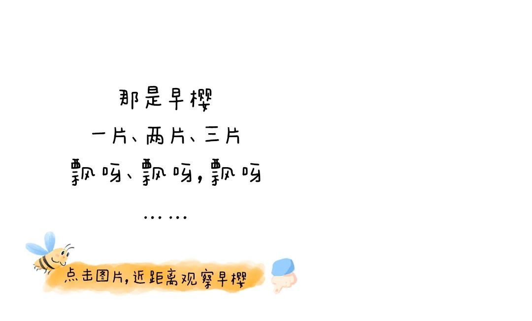 https://ddmy.wxlxjy.com/contents/sitefiles2051/10256735/images/30685686.jpeg