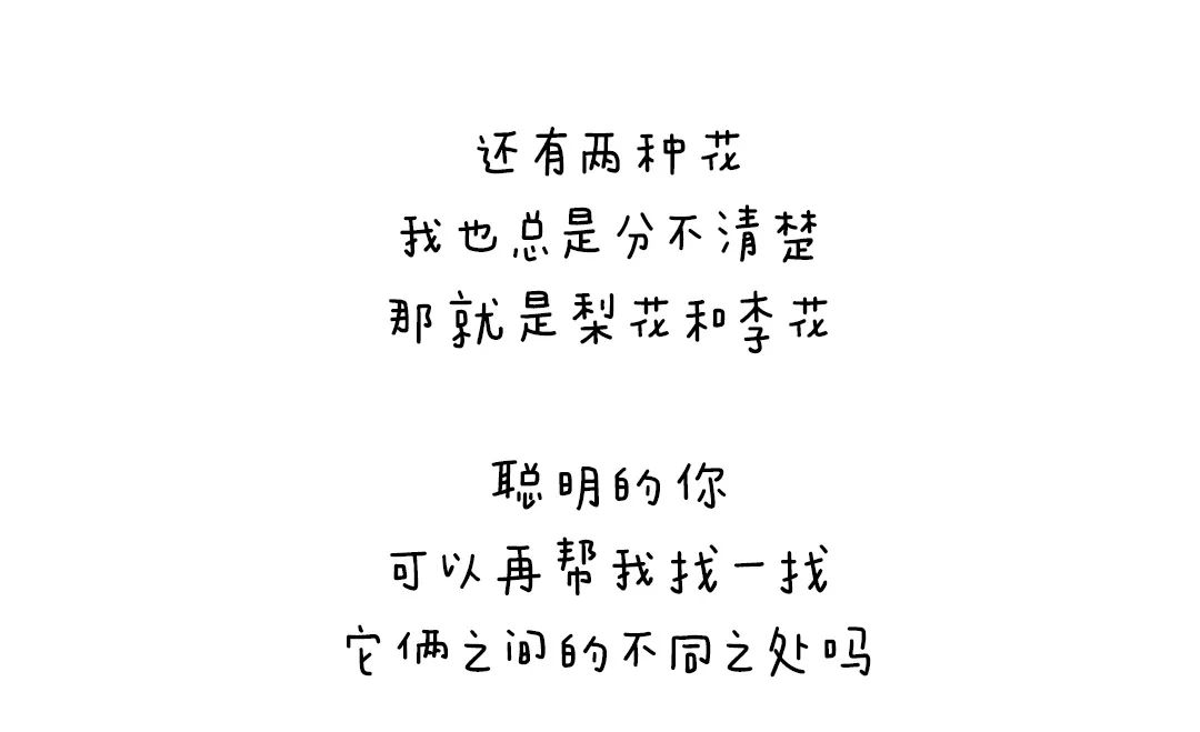 https://ddmy.wxlxjy.com/contents/sitefiles2051/10256735/images/30685690.jpeg