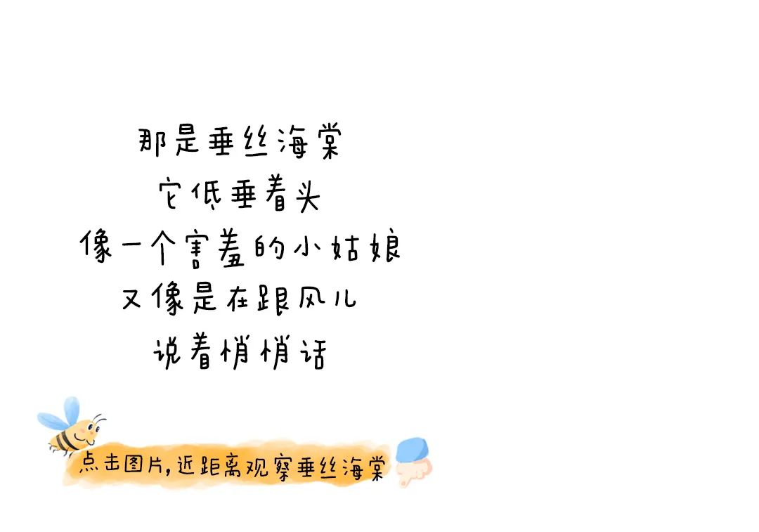 https://ddmy.wxlxjy.com/contents/sitefiles2051/10256735/images/30685693.jpeg