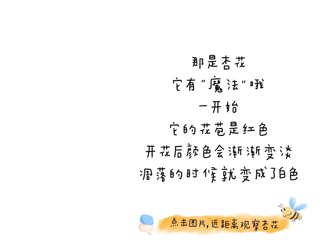 https://ddmy.wxlxjy.com/contents/sitefiles2051/10256735/images/30685694.jpeg