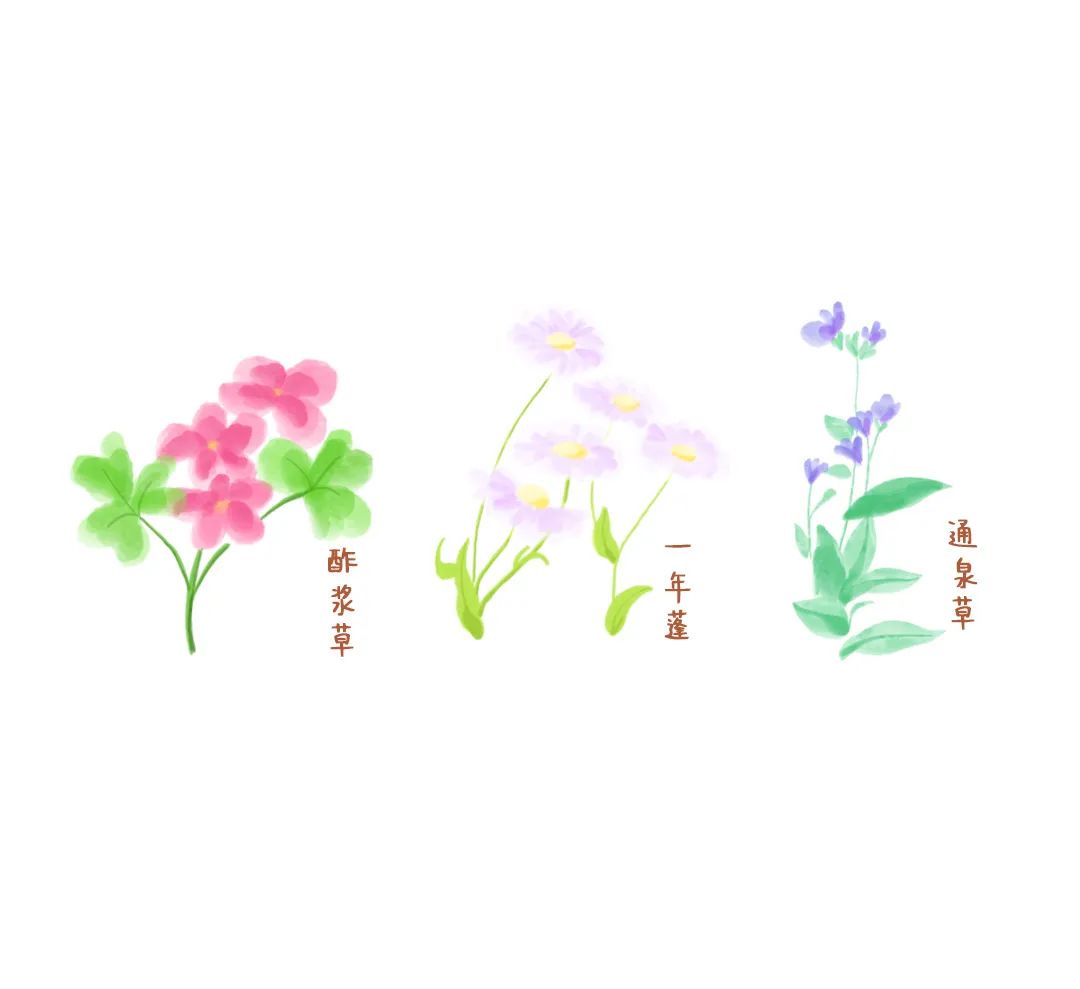 https://ddmy.wxlxjy.com/contents/sitefiles2051/10256735/images/30685700.jpeg