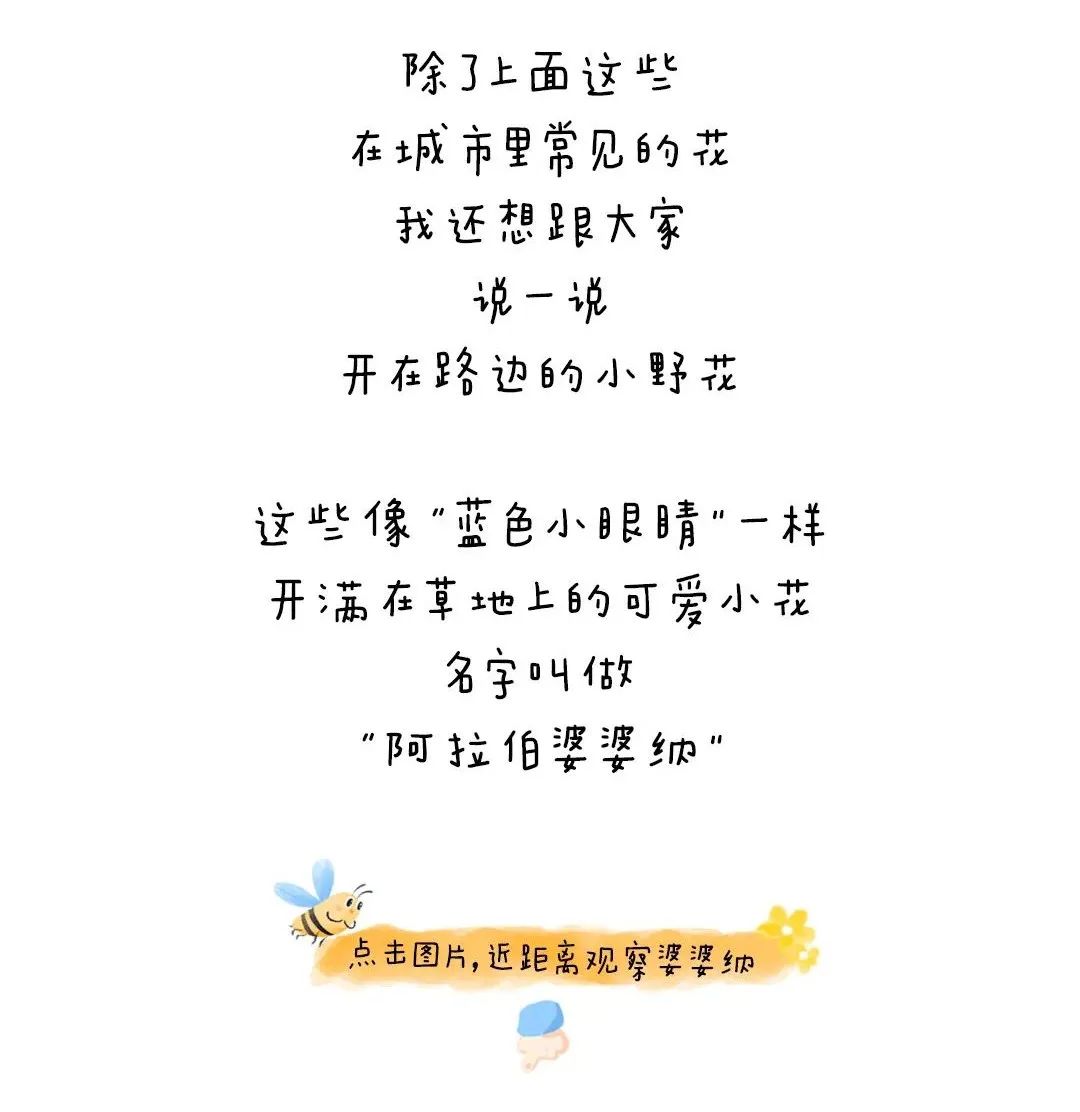https://ddmy.wxlxjy.com/contents/sitefiles2051/10256735/images/30685703.jpeg