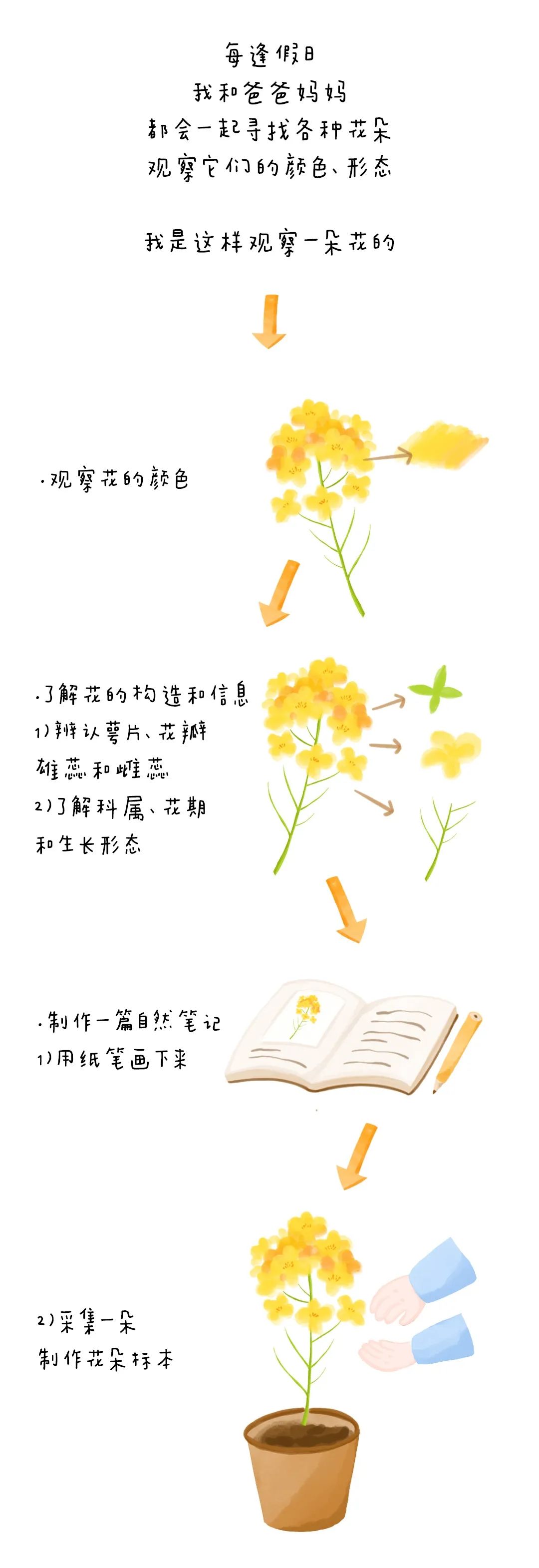 https://ddmy.wxlxjy.com/contents/sitefiles2051/10256735/images/30685705.jpeg