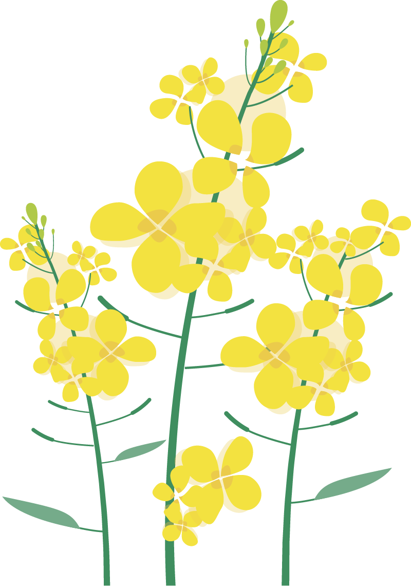 https://ddmy.wxlxjy.com/contents/sitefiles2051/10256735/images/30689244.png