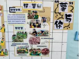 https://ddmy.wxlxjy.com/contents/sitefiles2051/10256735/images/30689385.jpeg