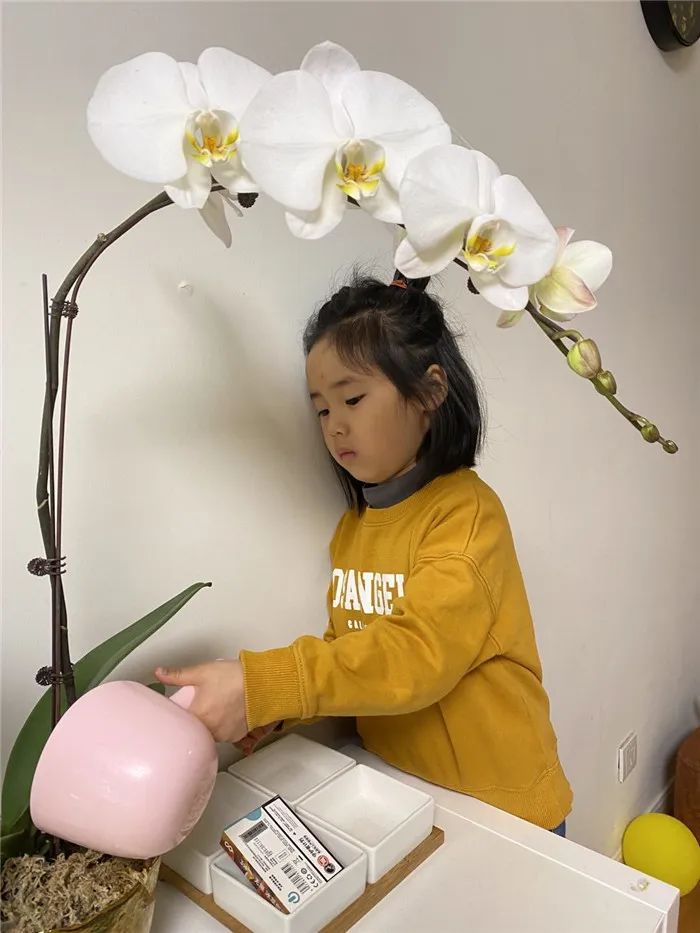 https://ddmy.wxlxjy.com/contents/sitefiles2051/10256735/images/30689576.jpeg