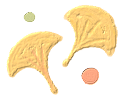 https://ddmy.wxlxjy.com/contents/sitefiles2059/10297130/images/38757231.png