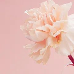 https://ddmy.wxlxjy.com/contents/sitefiles2059/10297130/images/42063215.jpeg