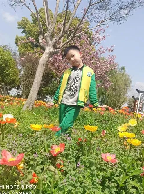 https://ddmy.wxlxjy.com/contents/sitefiles2059/10297130/images/43193858.jpeg