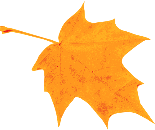 https://ddmy.wxlxjy.com/contents/sitefiles2059/10297130/images/46096622.png