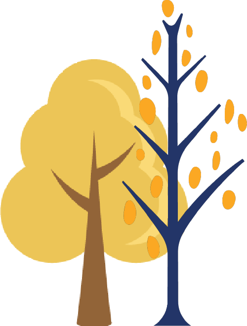 https://ddmy.wxlxjy.com/contents/sitefiles2065/10325839/images/46976883.png