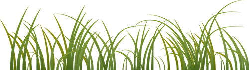 https://ddmy.wxlxjy.com/contents/sitefiles2065/10325839/images/47702848.png
