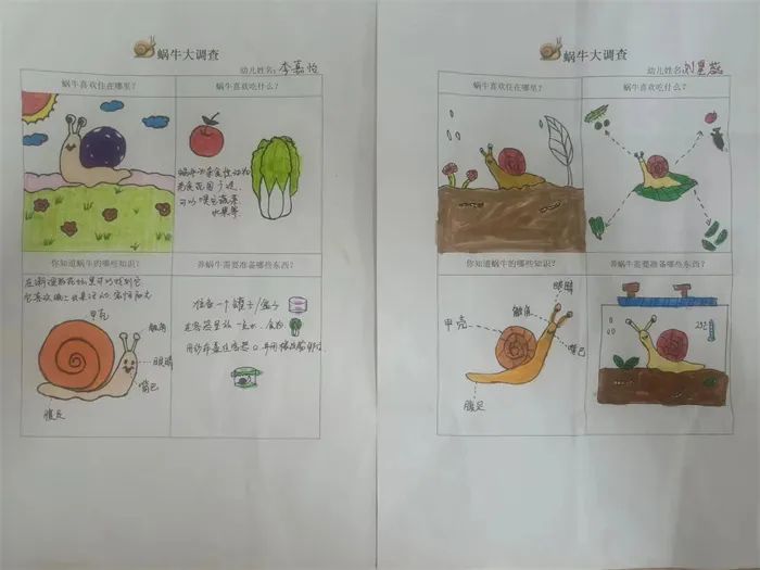 https://ddmy.wxlxjy.com/contents/sitefiles2065/10325839/images/47702857.jpeg