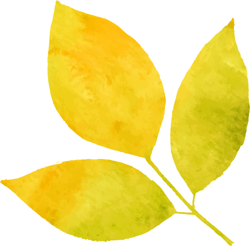 https://ddmy.wxlxjy.com/contents/sitefiles2065/10325839/images/47813234.png