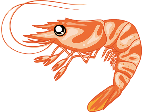 https://ddmy.wxlxjy.com/contents/sitefiles2065/10325839/images/47942504.png