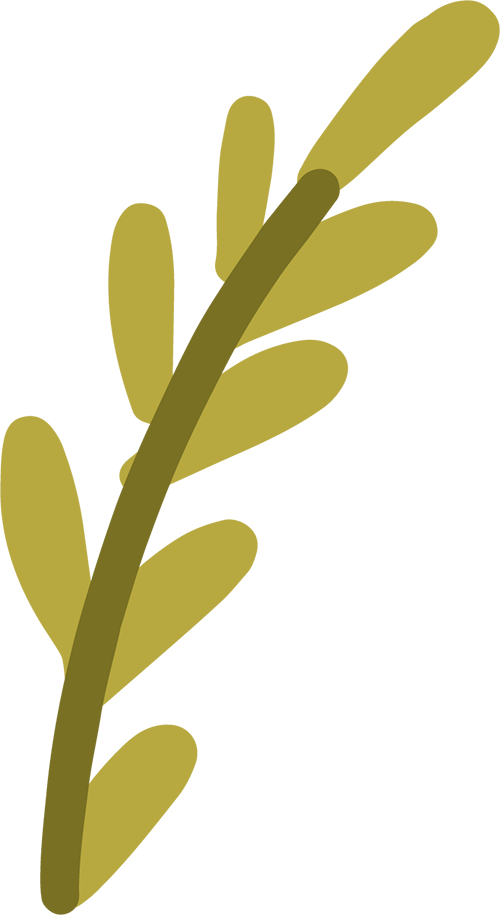 https://ddmy.wxlxjy.com/contents/sitefiles2065/10325839/images/48958279.png