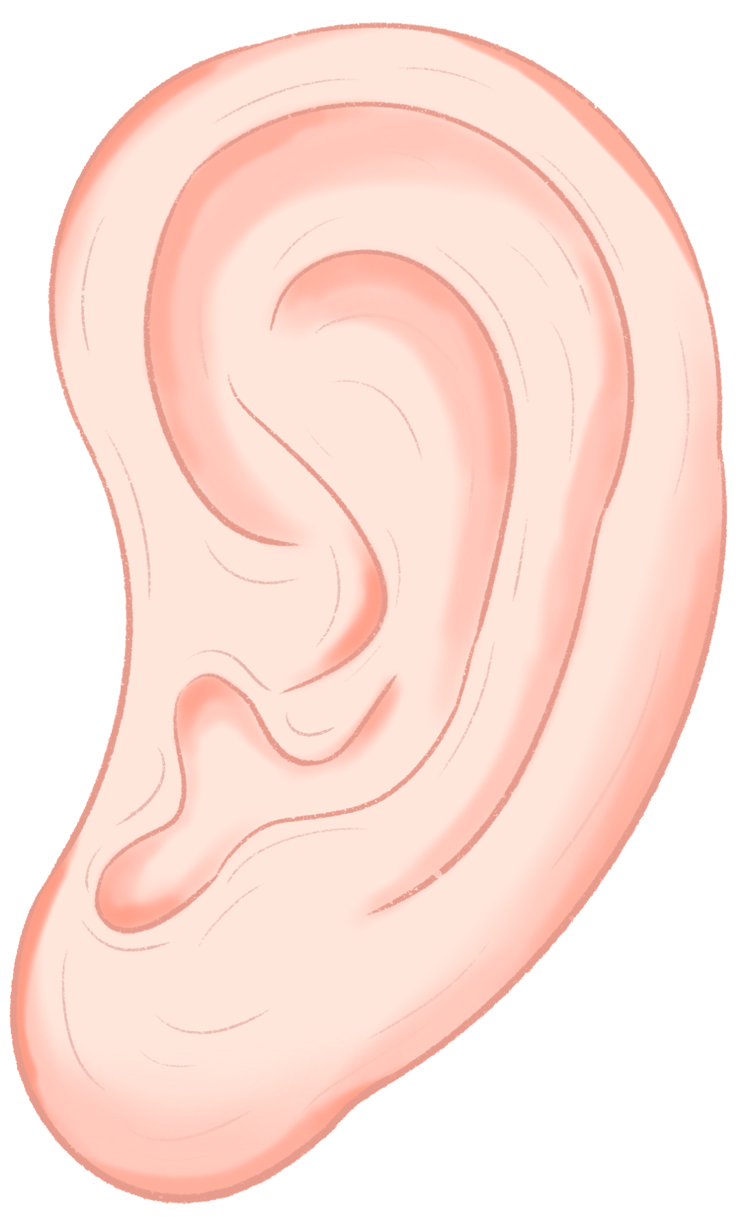 https://ddmy.wxlxjy.com/contents/sitefiles2065/10325839/images/48958625.png
