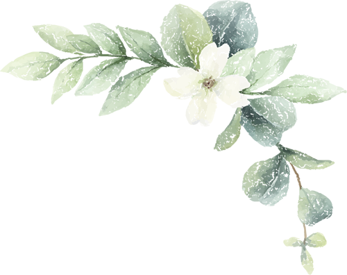 https://ddmy.wxlxjy.com/contents/sitefiles2065/10325839/images/49269311.png