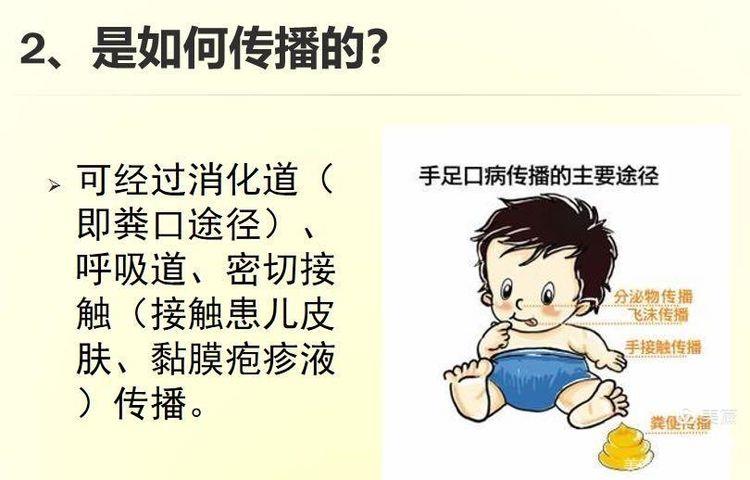 https://ddmy.wxlxjy.com/contents/sitefiles2065/10325839/images/49518907.jpeg