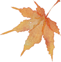 https://ddmy.wxlxjy.com/contents/sitefiles2065/10325839/images/49746794.png