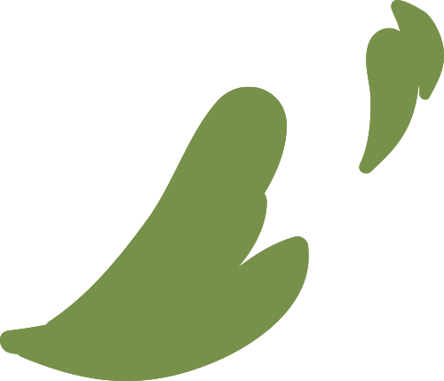 https://ddmy.wxlxjy.com/contents/sitefiles2065/10325839/images/50166540.png
