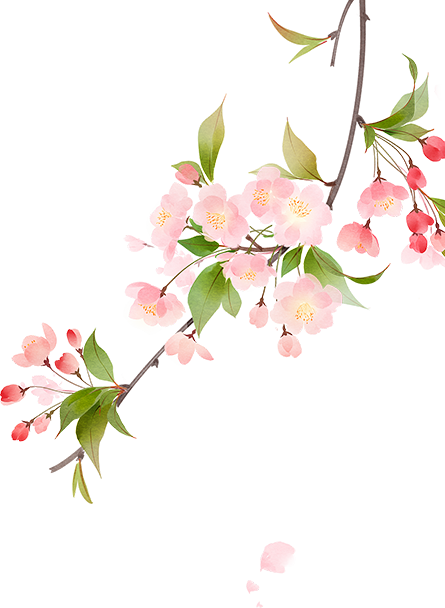https://ddmy.wxlxjy.com/contents/sitefiles2065/10325839/images/50518941.png