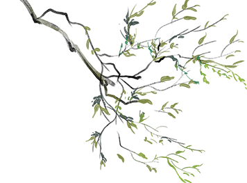 https://ddmy.wxlxjy.com/contents/sitefiles2065/10325839/images/50827184.png