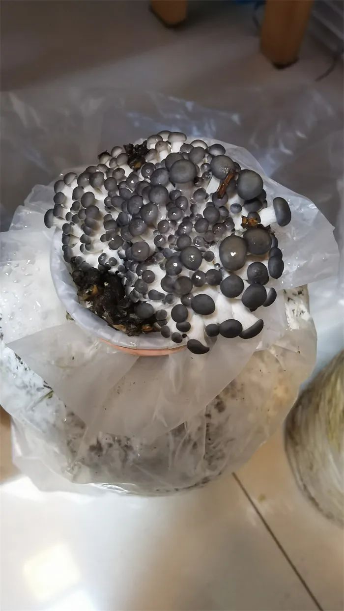 https://ddmy.wxlxjy.com/contents/sitefiles2065/10325839/images/50827260.jpeg