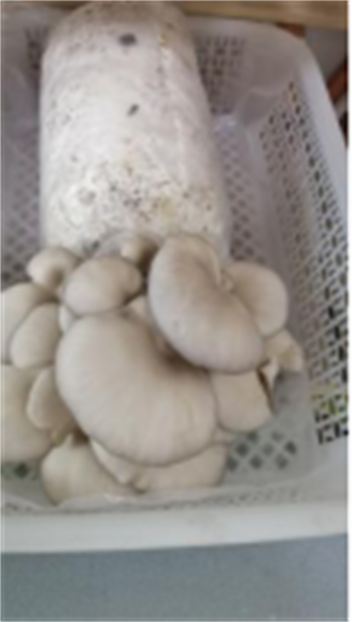 https://ddmy.wxlxjy.com/contents/sitefiles2065/10325839/images/50827304.png