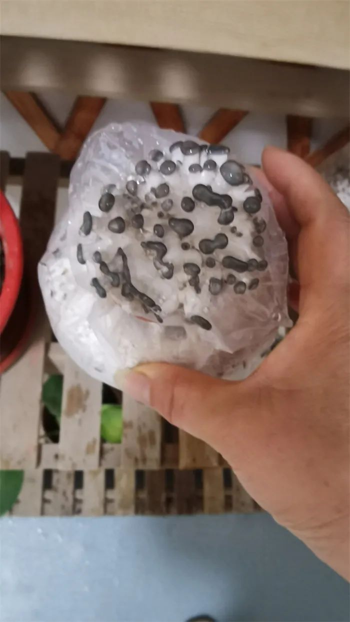 https://ddmy.wxlxjy.com/contents/sitefiles2065/10325839/images/50827305.jpeg