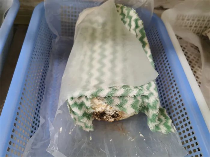 https://ddmy.wxlxjy.com/contents/sitefiles2065/10325839/images/50827333.jpeg