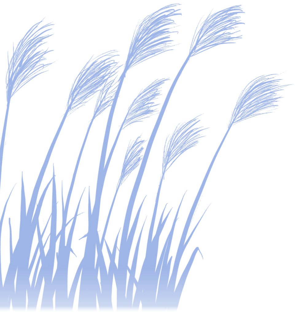 https://ddmy.wxlxjy.com/contents/sitefiles2065/10325839/images/50827388.png